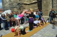 Mittelalterfest 2015